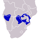 Distribución del mopane