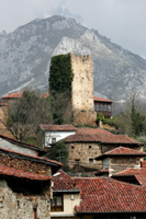 Vista de la localidad de Mogrovejo con el recinto cerrado al fondo, donde destaca la torre.