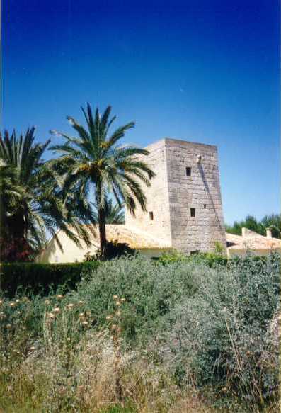 Archivo:Torre Aguilas. Alicante.jpg