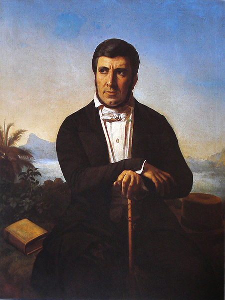 Archivo:Ferdinand Krumholz - Retrato de Manuel de Araújo Porto-alegre - 1848.jpg