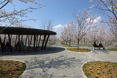 Parque Sakura Hiroba (2006)