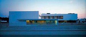 Instituto Bernabeu. Alicante.jpg