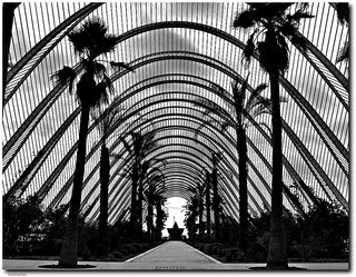 Umbráculo en Ciudad de las Artes y Las Ciencias de Valencia, por Calatrava
