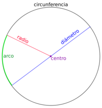 El círculo, la circunferencia, y sus elementos principales como lo son el radio,el diametro, etc.