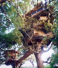 Casa en árbol