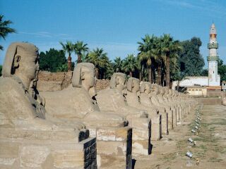 Avenida de esfinges en la entrada del templo de Luxor