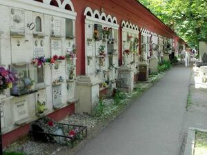 Cementerio Novodevichy.JPG