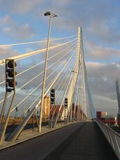 Puente Erasmus.4.jpg