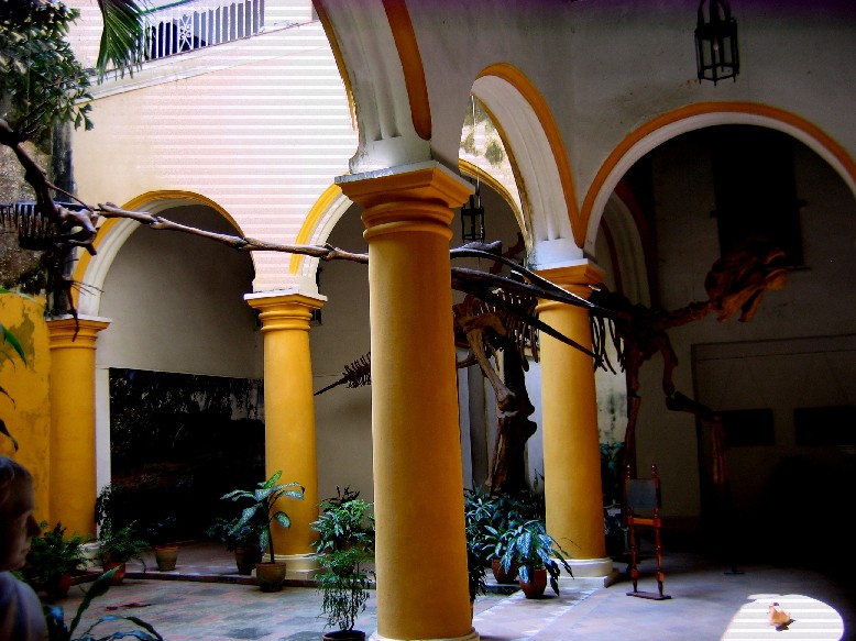 Archivo:Sala del Museo Alexander von Humbold, La Habana.jpg