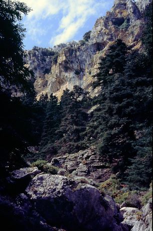 Archivo:Sierra de las Nieves.jpg