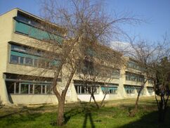 Escuela Heinrich Pestalozzi, Skopje, Macedonia (1966-1969)