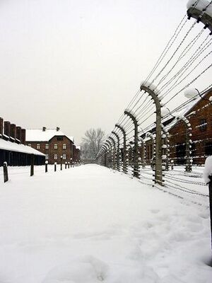 Auschwitz-2.jpg