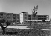 Hospital universitario Hadassah, Jerusalén (1934-1939)