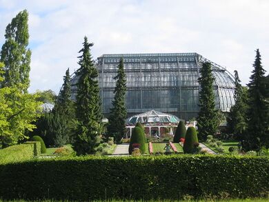 Invernadero tropical del Jardín Botánico de Berlín.