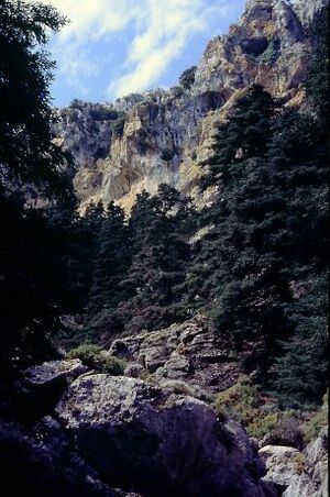 Sierra de las Nieves.jpg