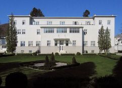 Sanatorio Purkersdorf, Purkersdorf, Austria.(1904)