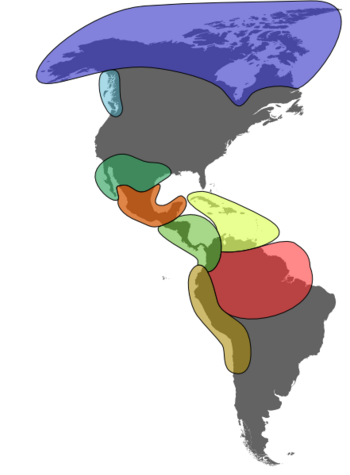 Mapa de las Culturas precolombinas.