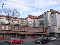 Franz-Domes-Hof, complejo municipal de viviendas en Viena (1928–30)